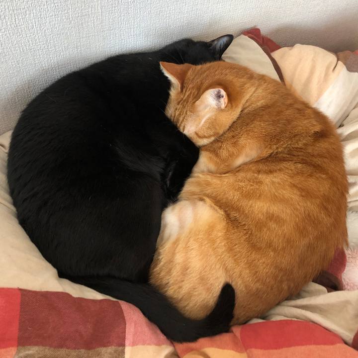 Cbe93e0e 248c 40f0 928e cb5c8a3d0e25 1708753353590