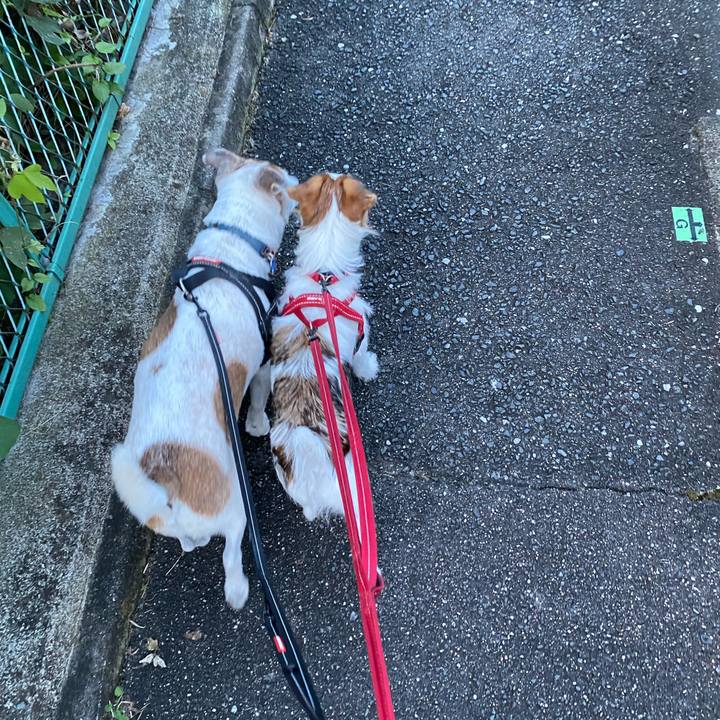 Cbe96ed4 78fa 482c 9f08 10d9605037d9 1632949762294