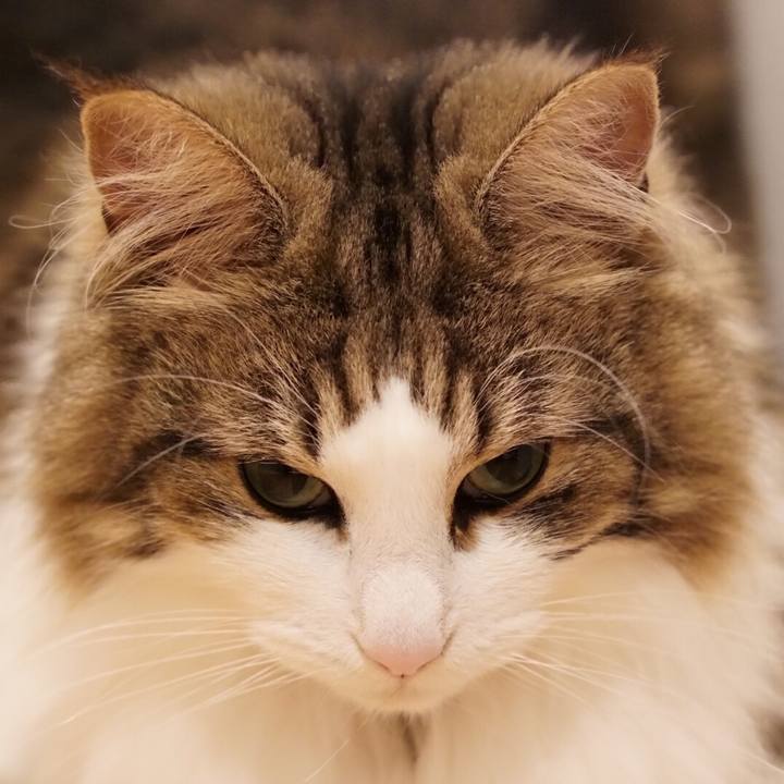 Cbe99f40 cc9b 4f8c a705 3fd67e29c1c2 1561816754467