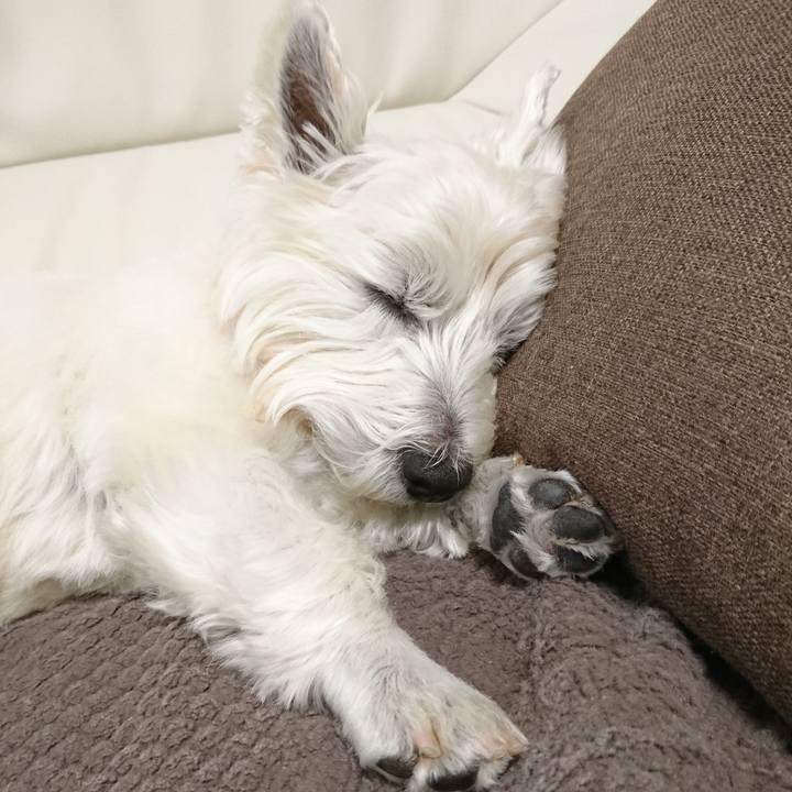 Cbe9e529 9b67 4b85 8a55 095dfe65c94e 1522820614372