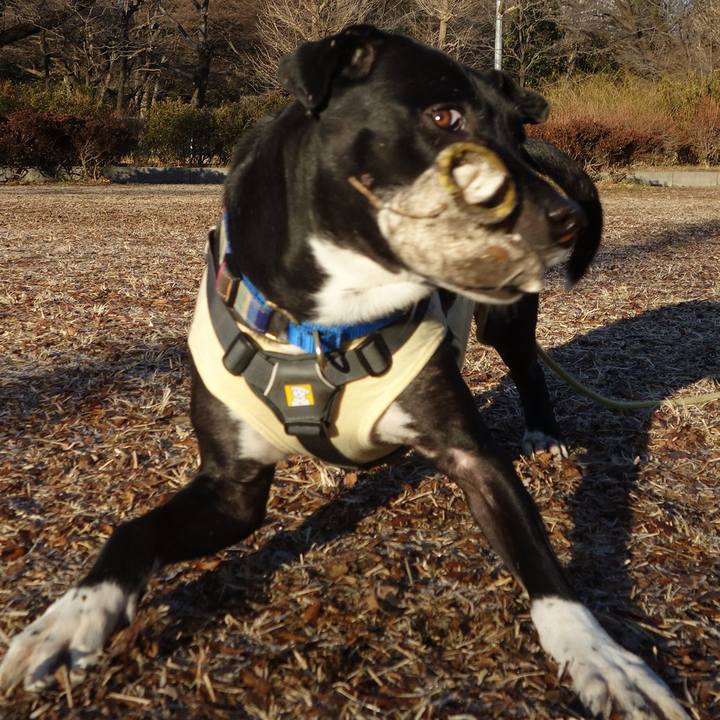 Cbe9f0aa 8818 42b9 b53a eedcda685b04 1642640839317