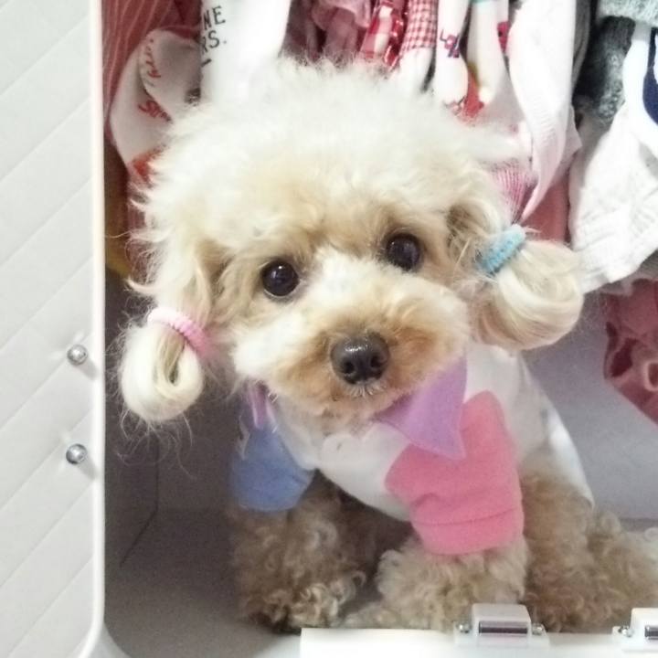 Cbe9ff70 fed2 4700 b690 34ef8823ce5d 1533543936460