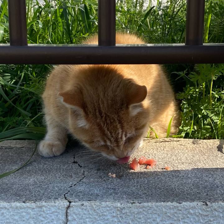 Cbea176e e114 4de4 9a58 758f59d8ac85 1772237065281