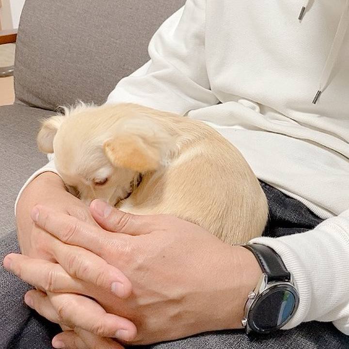 Cbea5180 9ddb 462f bc9e e02b0959a4b2 1604485602841