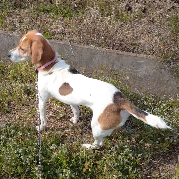 Cbea6f9f 8e3f 4b5e 9655 452f09bb99dc 1587632364078