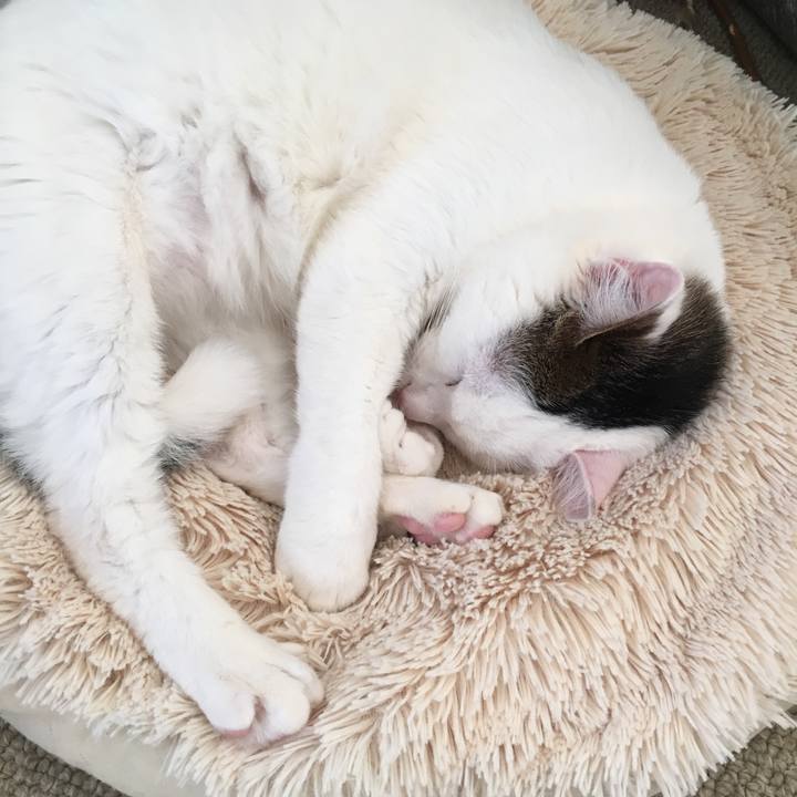 Cbea7b1d c8e7 4b5d 8d70 c52efb91f36b 1520835273087