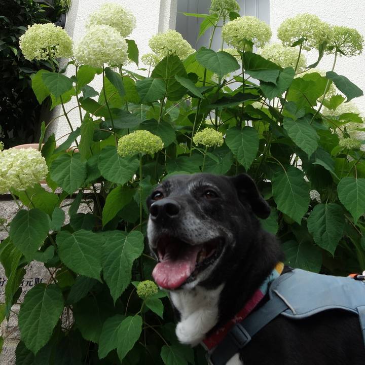 Cbea7f33 6619 4ff1 84aa ea71d6b17daf 1748739170733