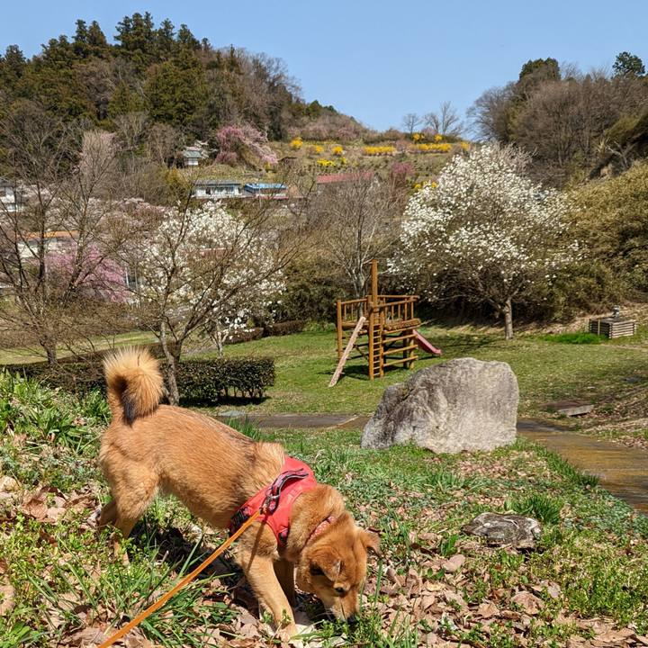 Cbea8d40 be43 41cb 8ef4 f85fa4cf3da9 1649686305071