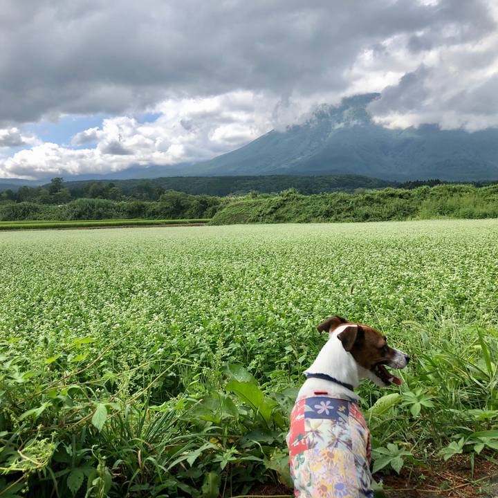 Cbeab08c bca7 403b 9b92 0178b8b78f72 1598938295018