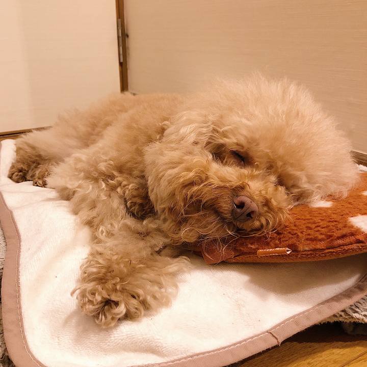 Cbeaec4a 900c 441c 89d6 8856a83289ee 1553859265036