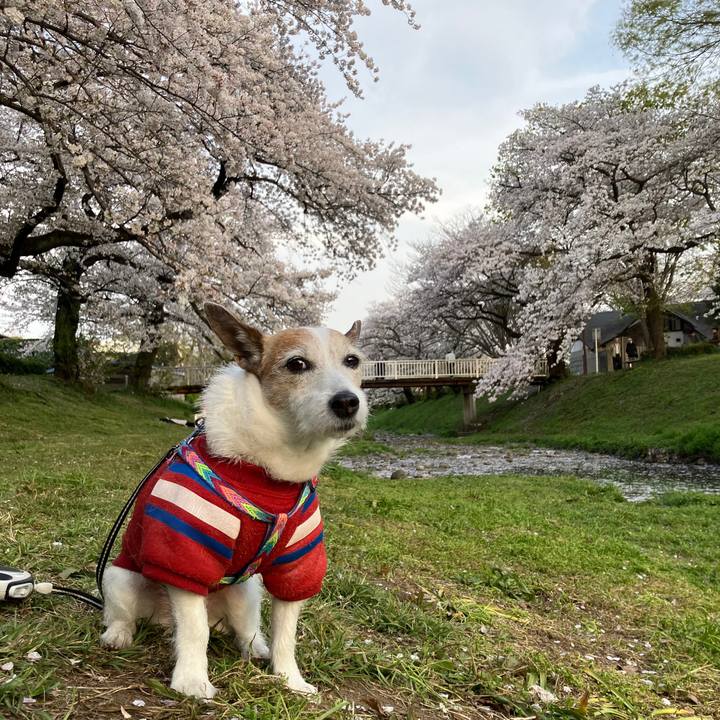 Cbeaee09 2c5f 4e46 a81a 2cca2e4fbc06 1744154982314