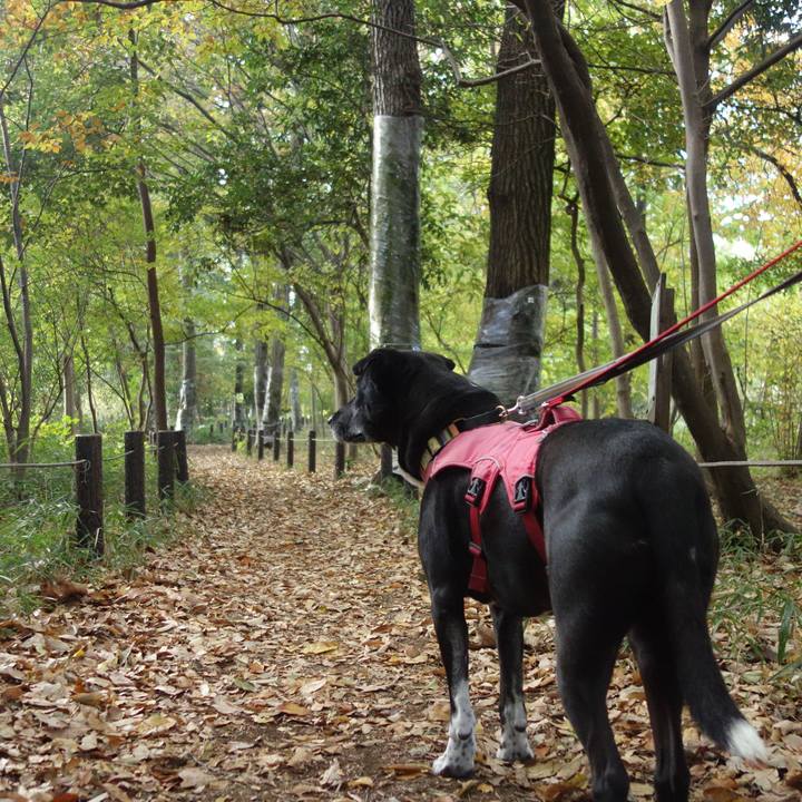 Cbeaf4d0 d3c1 446c 95db 0713b8e4c994 1700703009788