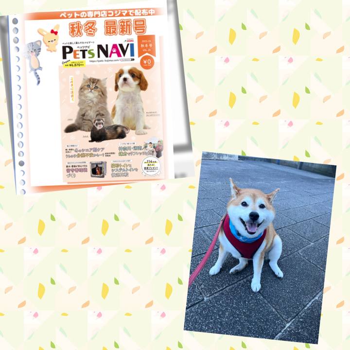 Cbeb0e1b 6091 4000 b024 d52c80c82806 1700627194177