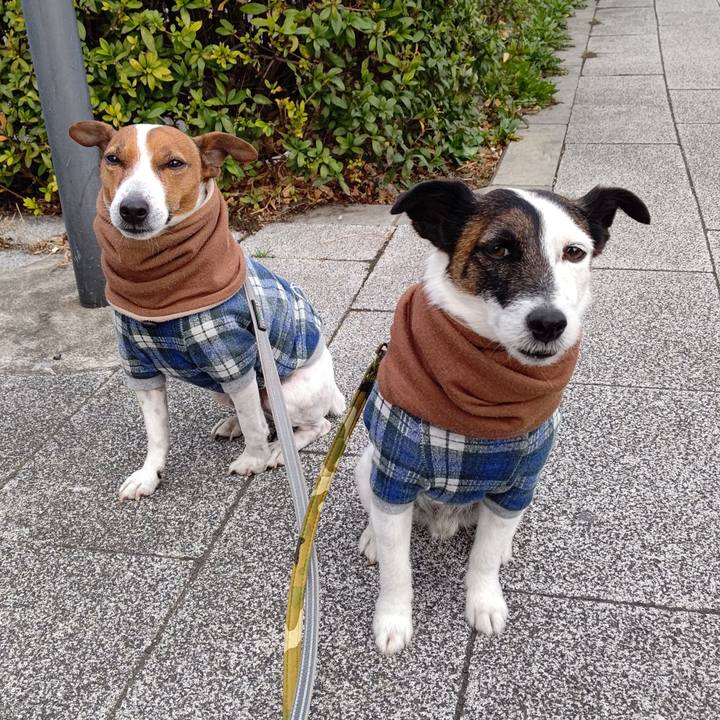 Cbeb6ad0 6394 44d6 ba3f f05853b000bf 1677798601645