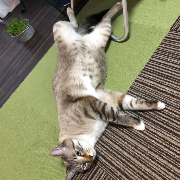 Cbeb8241 c072 459f a842 b66ec8bd6f4b 1658493467622