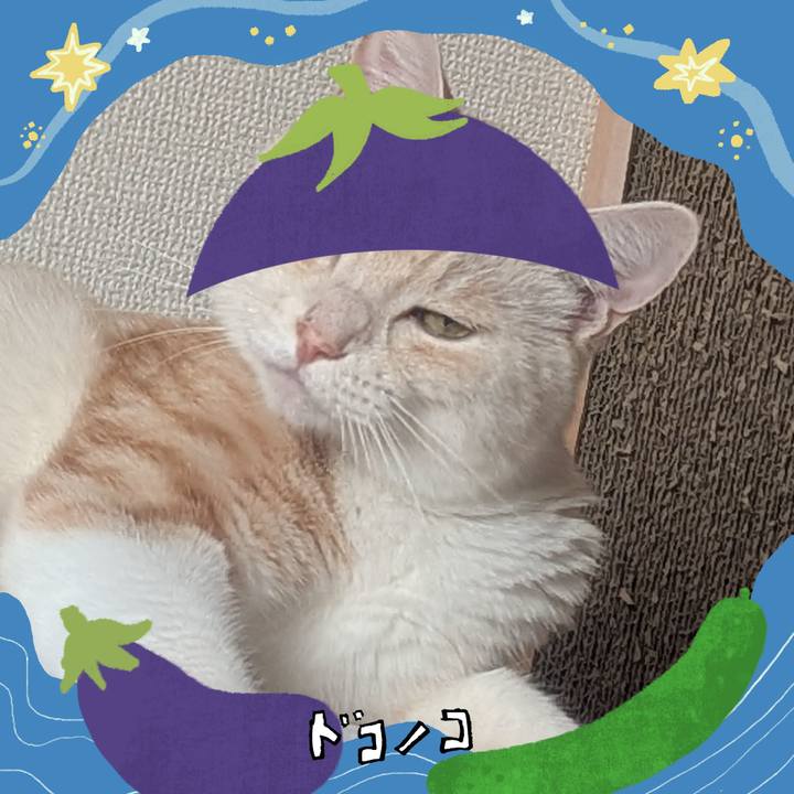 Cbeb91eb 24a9 4b03 92da f55101f9c7a9 1755528570056