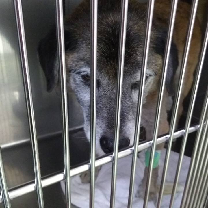 Cbeb969e 9785 4a8a 8155 45976d28a555 1570511038900