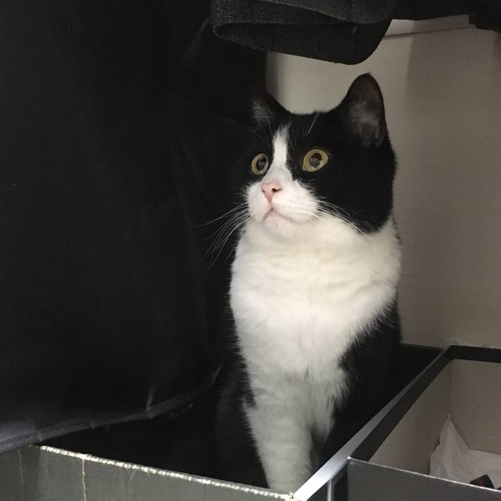 Cbebc526 73d3 47c6 9a86 40f220dd92f6 1599773215242