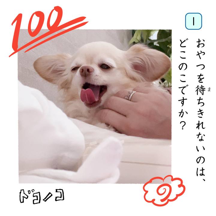 Cbebe48e d137 4ada 8845 6283f42cfb50 1744291498582