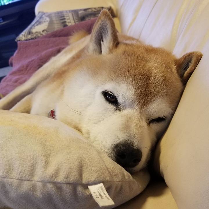 Cbec4183 9b28 4e3f 972d 23d590b561df 1685322920801