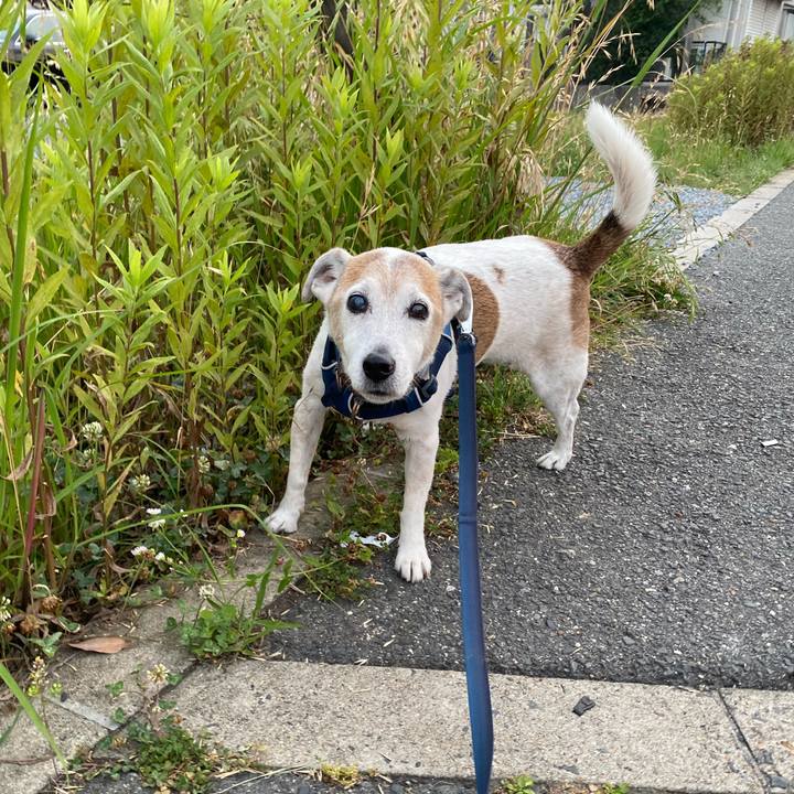 Cbec4451 87f7 4d19 9f14 090f91aff33e 1655632148900