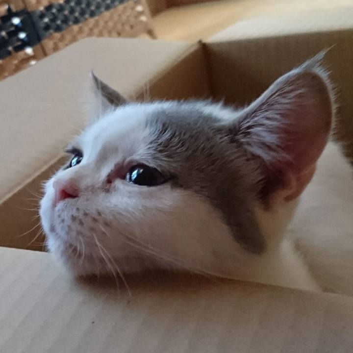 Cbec5ccd 6688 4922 889c 82d1791d9ab4 1534711964404