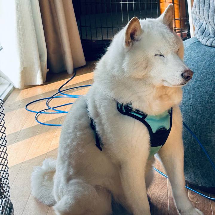 Cbec7301 a12a 4a21 8a76 352956422458 1740717233290