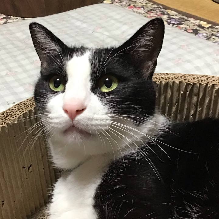 Cbec85b7 1233 4df9 aed2 02bb7f72ed3e 1719828567665