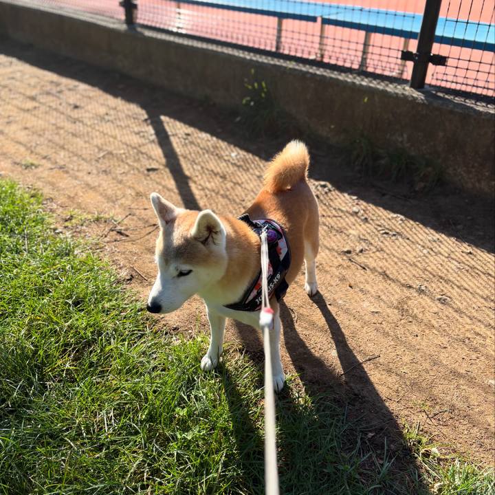 Cbed01fe 39a3 4f05 8d55 122e48579ad0 1760404625274