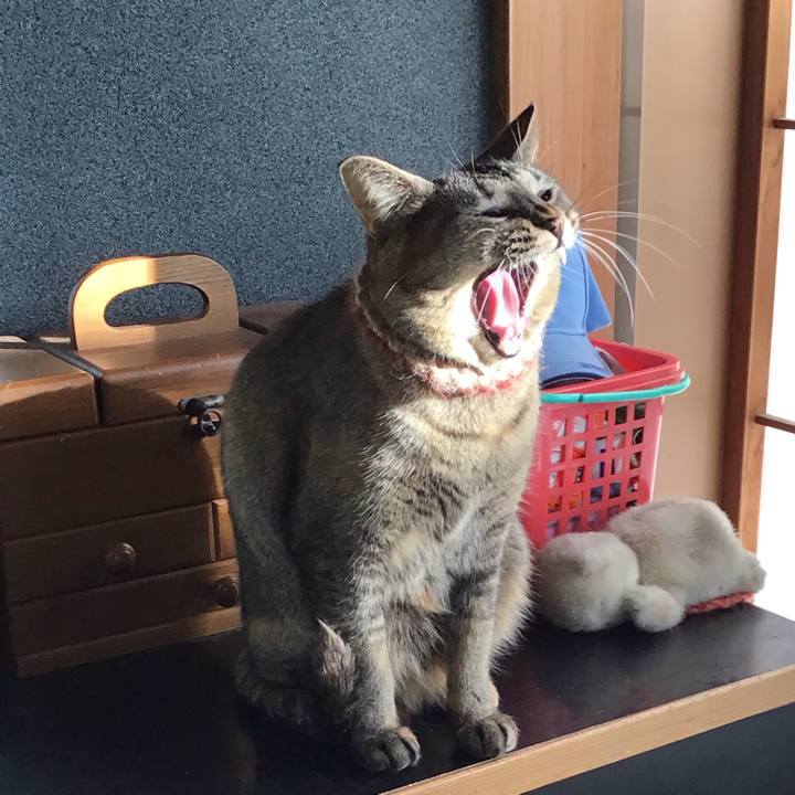 Cbed2c73 067c 4779 8d15 0eca87eb5da8 1636675616505