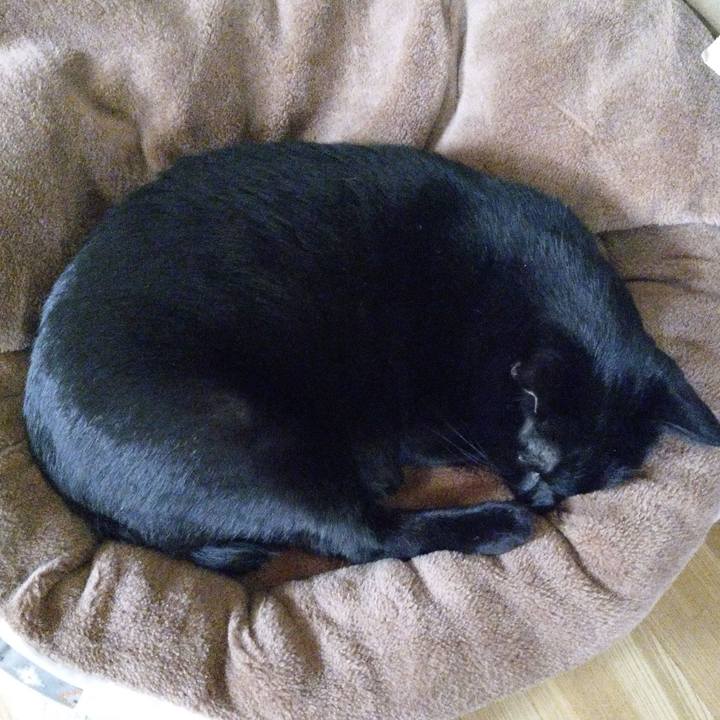 Cbed7850 47cc 443e 923f 8bdd28ac1536 1578801771717