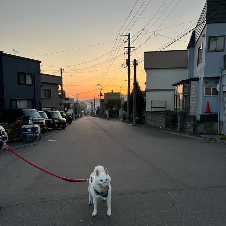 Cbed7850 5292 47fa b548 e74ebe388037 1759526084595