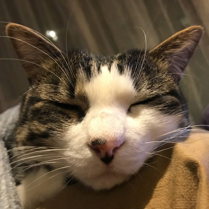 Cbed9a0c 02dd 4346 a503 c492663eec09 1546513115296