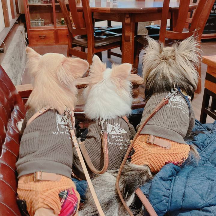 Cbedcaed 0c5e 4194 a17b d3569323047f 1669460686266