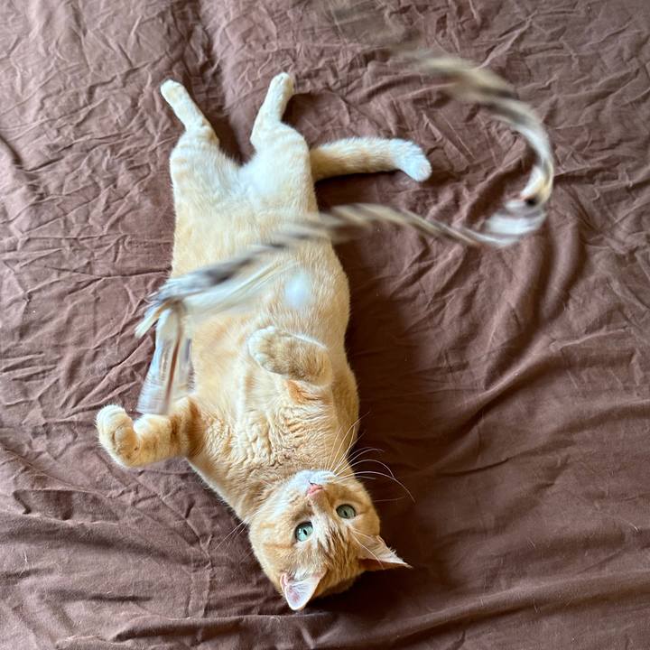 Cbedcfd4 3fc2 420a bd57 346da10ac845 1759191140495