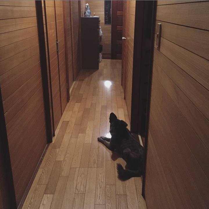 Cbedd3b5 2c9b 4b95 8956 6fc33436c8c3 1561856754475