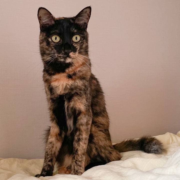 Cbede609 9093 43de ad22 bf7b2c12f393 1662797676821