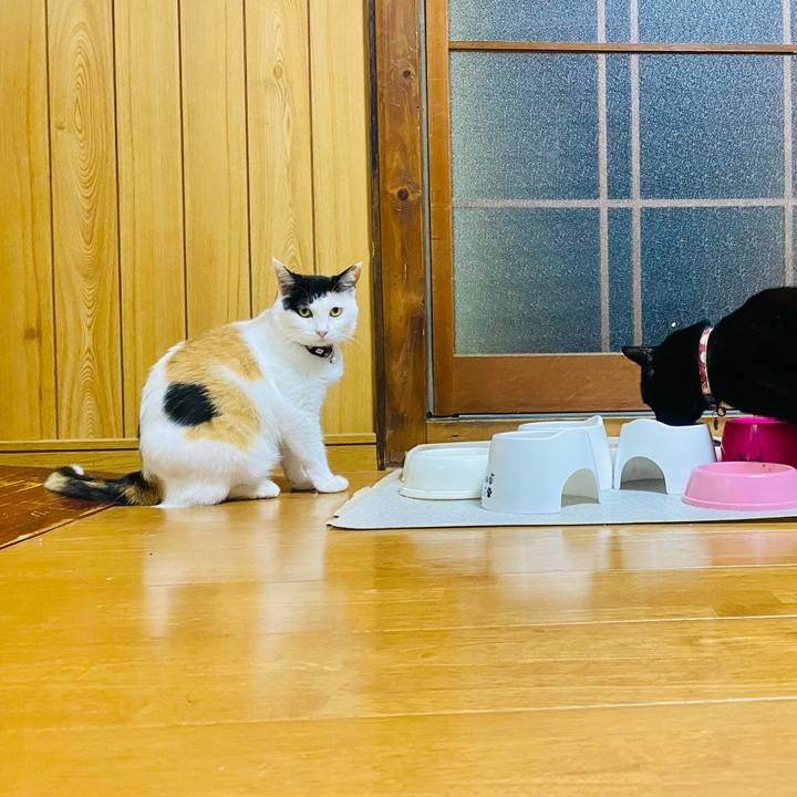 Cbedebe4 07d7 4cb4 b6cd 317aed4eb979 1656879646467