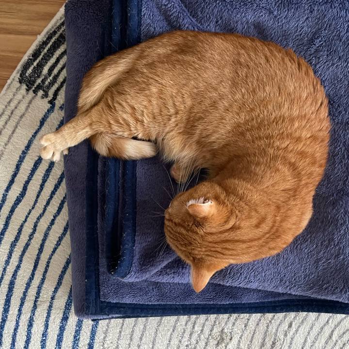 Cbee177f cdfb 4a7d ba52 8334cf17ad92 1760240370963