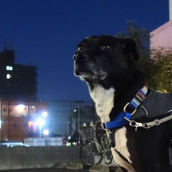 Cbee20c4 e44f 49e1 89e5 2ae8c0e564af 1646909606598