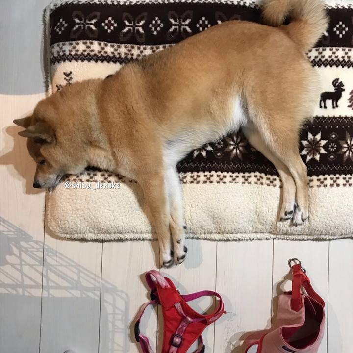 Cbee87c2 aebb 4747 bf28 9927b0ffe370 1541150525668