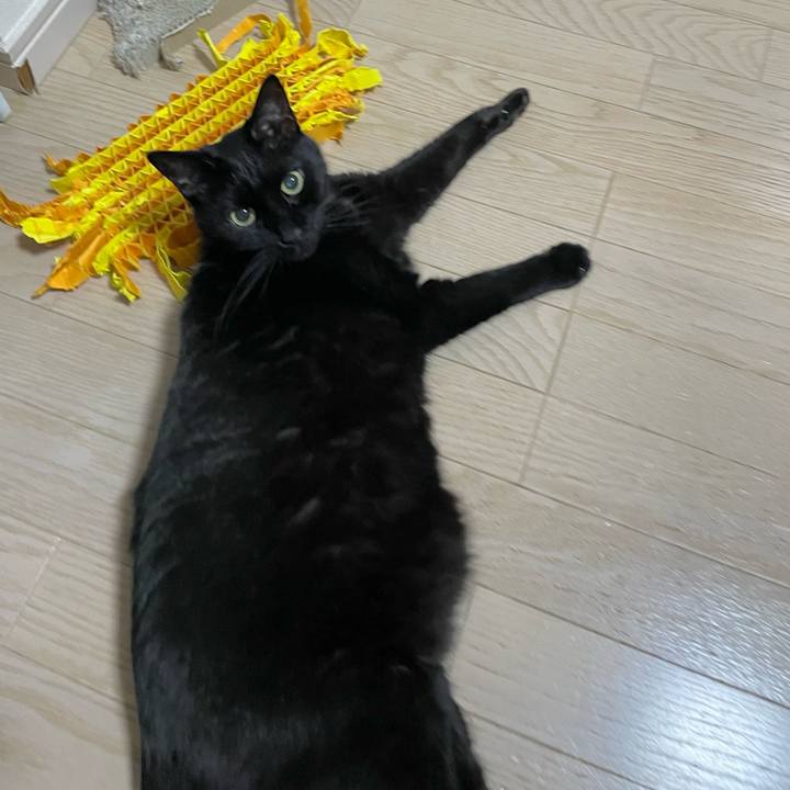 Cbee8d2f 7445 4601 9dd9 2195086632bf 1774958565518