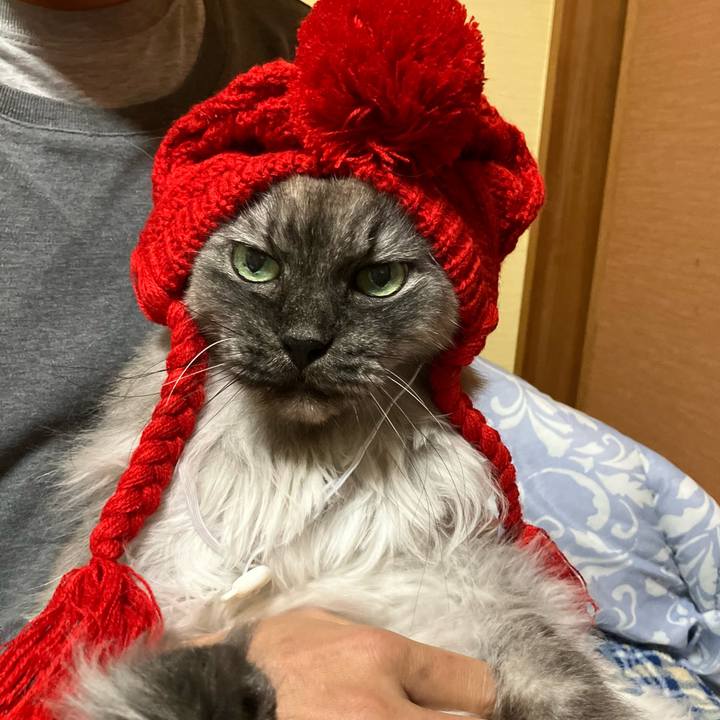 Cbeebcfa e9c8 405e 8505 b834f5e6aa8b 1742989206768