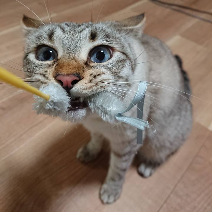 Cbeeeb64 e184 42ad 88f7 151b6ca8bc9c 1551699350334