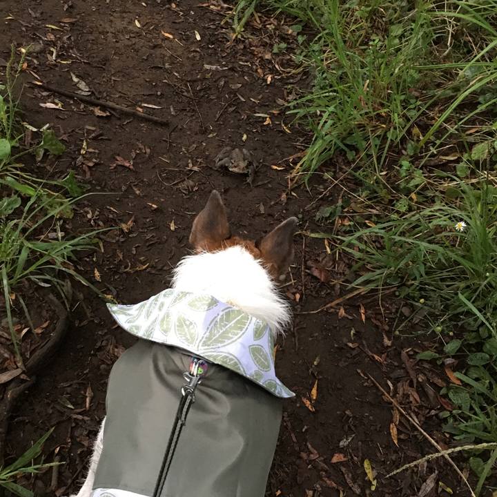 Cbeef3ae 2e3a 4ec3 b72e cf084fcdb604 1633220130385