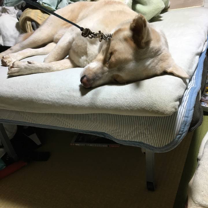 Cbef3995 d9a0 48f5 8463 0e3983965f42 1508664493008