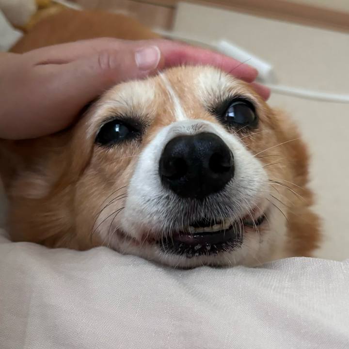 Cbefa4f4 69d2 485b 83ad abb49fbea90a 1748946594963