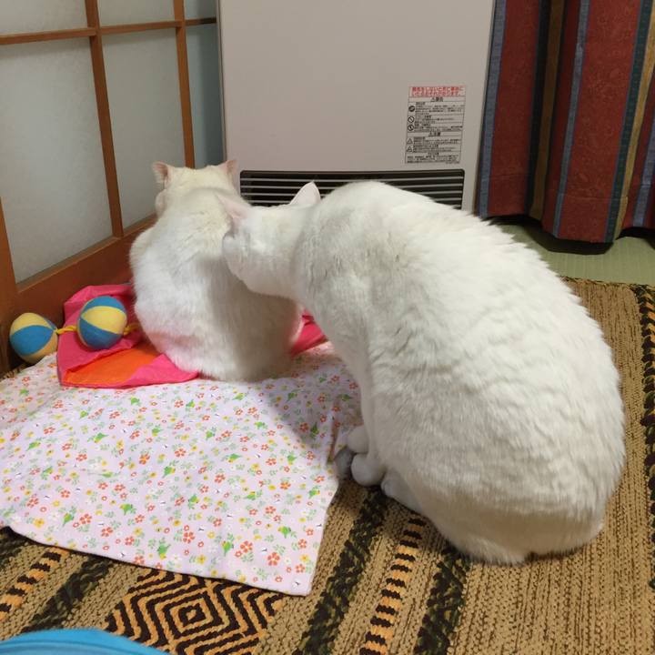 Cbefcac2 df5d 48d5 a23a 08c67e157935 1521284019034