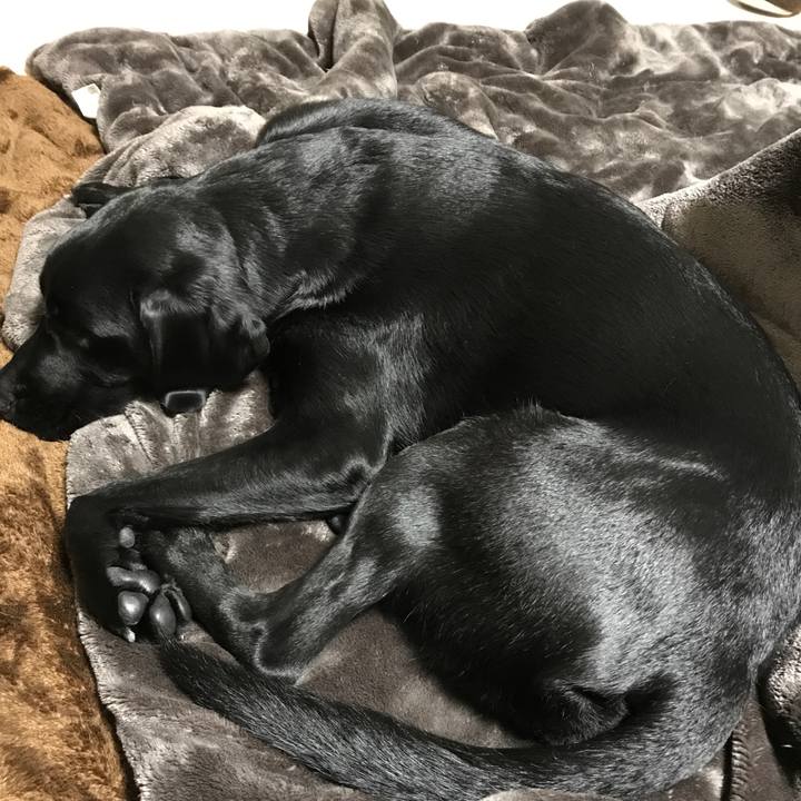 Cbf05020 acd4 49d4 b7aa fd4ef66b95bb 1515403295482