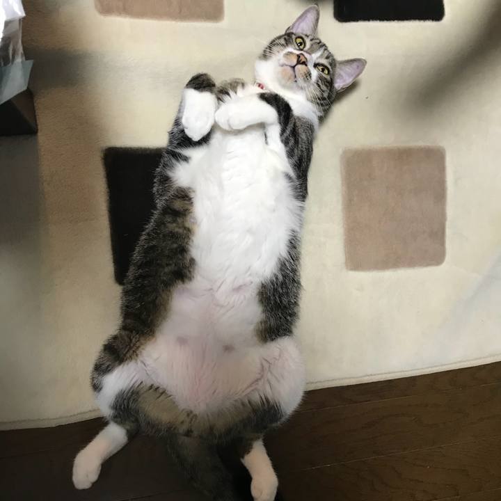 Cbf05420 bf86 42eb 9eb6 7ce839b70105 1509277770687